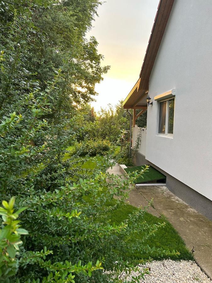 Balatonvilágos Kisvirag Vendeghaz 빌라 외부 사진